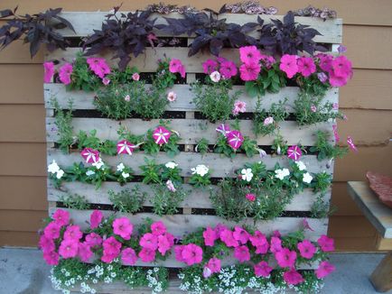 Cum să împartă grădină de flori la cabana cu propriile sale mâini, ideea de un design frumos și decorarea de paturi de flori