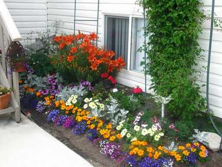 Cum să împartă grădină de flori în țară cu propriile lor mâini, ideea de un design frumos și decorarea de paturi de flori