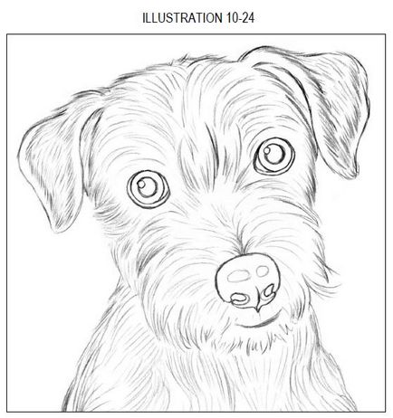 Cum de a desena un câine, vopsea de artă