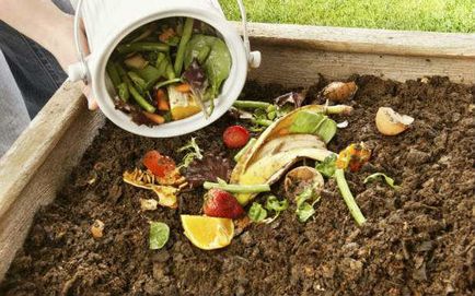 Cum sa faci o groapă de compost în țară cu propriile lor mâini - opțiuni și sfaturi