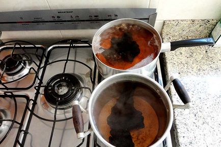 Cum sa faci un inconvenient pentru acvariu cu propriile lor mâini (buturugă) Cum sa faci un inconvenient pentru acvariu cu propriile lor mâini