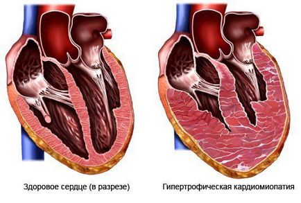 Cum de a instrui inima 1