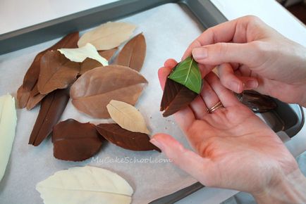 Cum de a decora un tort timp de 10 minute - făcut de mână, cursuri de master cu fotografii de pe goldenhands