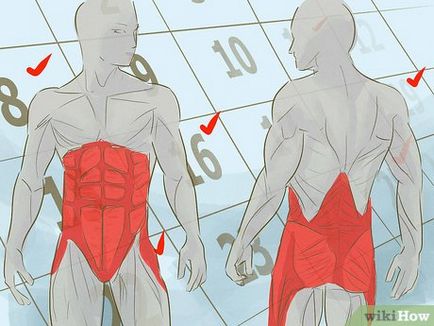 Cum de a consolida mușchii scoarței