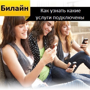 Cum pot afla ce servicii sunt conectate la Beeline
