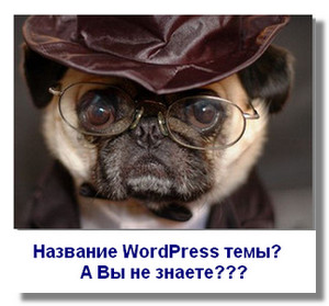 De unde știi numele temei WordPress, care este instalat pe un alt site, varza Internet