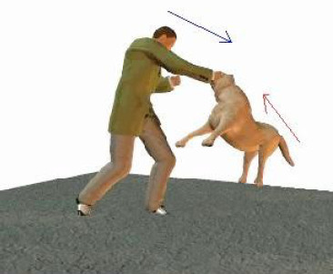 Cum să se comporte în timpul unui atac de câine