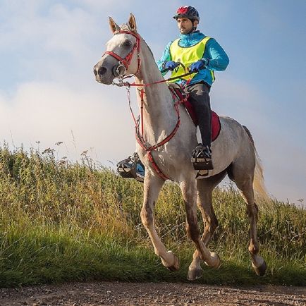 Cum să trăiască fabulos de bogat Prince Arabe Unite - infomania