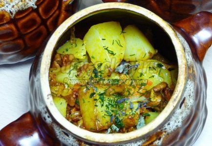 Cartofi cu ciuperci la cuptor pentru cele mai bune rețete cu fotografii