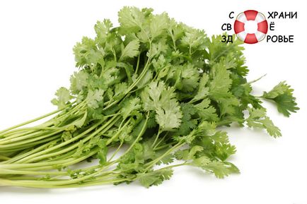 Coriandru (cilantro)