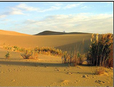 China Taklamakan - desert ademenitor și misterios