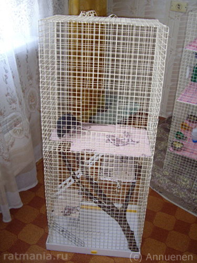 Cage pentru șobolani cu mâinile lor, Rathmann