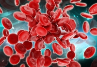 Imunitatea celulară că vitaportal - Sănătate și Medicină