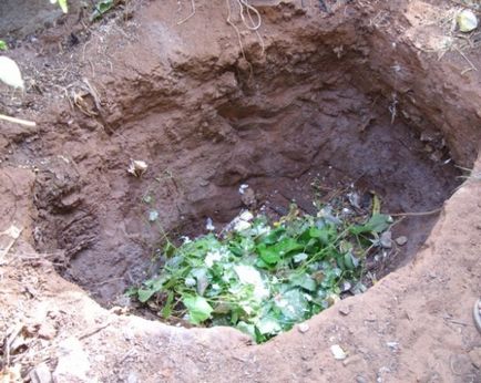 Compostul groapă ca o face singur (mijloc accelerează coacerea) groapă Compostul ca o faci singur