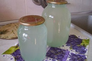 Canning suc de mesteacan la domiciliu - retete culinare