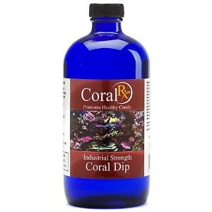 Boala Coral - prevenirea si tratamentul coralilor • orphek