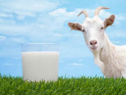 Laptele de capra pentru sugari de la ce varsta, daca se poate fierbe
