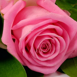 Frumoase felicitări pentru nunta tineri casatoriti (nunta) Frumoase felicitări pentru nunta tineri casatoriti