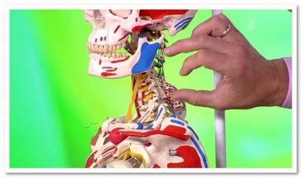 Tratamentul osteoartritei a coloanei cervicale