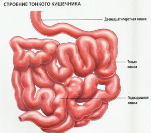Tratamentul de remedii populare intestinale și medicamente