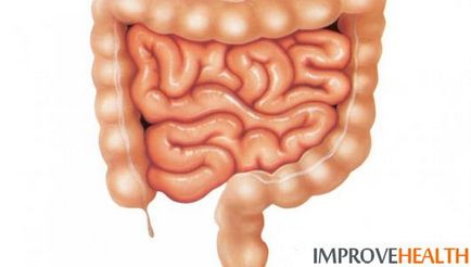 Tratamentul bolilor majore ale intestinului subțire