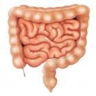 Tratamentul bolilor majore ale intestinului subțire