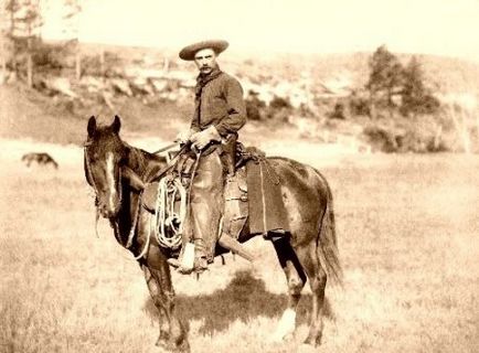cal cowboy - site-ul despre cai