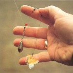 Cleanul de pescuit de capturare pe care musca, momeală și momeli, metode de pescuit