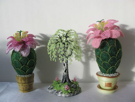 Master class - cactus vis roz, revista on-line pozitiv