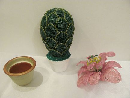 Master class - cactus vis roz, revista on-line pozitiv