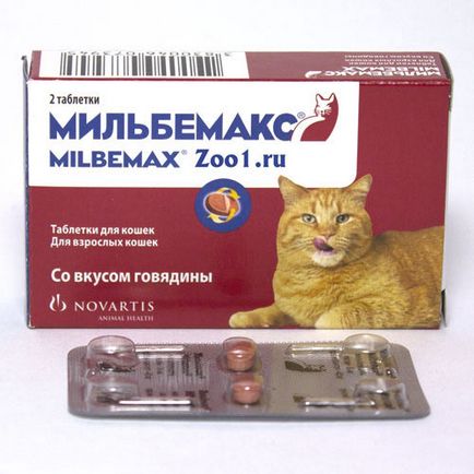 Milbemaks pentru pisici comentarii, instrucțiuni de utilizare, contraindicații - murkote despre pisici și pisici