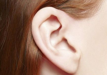 Structura și funcția earlobe