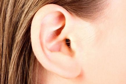 De ce lobul urechii, geneticienii o explicație, tulpina urechi