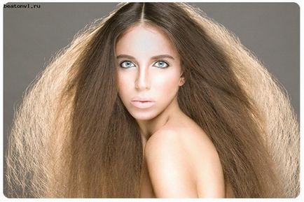 Fleece păr lung - cât poți și cât mai bine posibil - 110 fotografie (lână) Fleece păr lung - cât poți și cât mai bine posibil - 110 fotografii