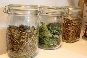 Medicina tradițională și tratament la domiciliu ca plante medicinale pentru a pune la cale în mod corespunzător - Sfaturi pentru gătit