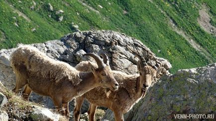 O excursie de o săptămână la Arkhyz la începutul lunii iulie 2017 (2017) O excursie de o săptămână la Arkhyz la începutul lunii iulie 2017