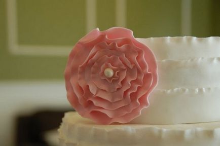flori delicate de mastic pentru un tort de nunta (nunta) flori delicate de mastic pentru un tort de nunta