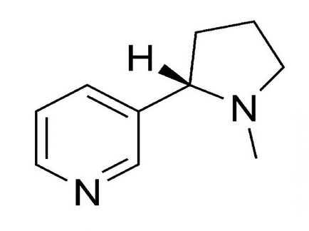 Nicotina - aceasta este ceea ce efectul nicotinei asupra organismului