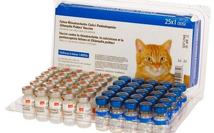 pisică Nobivac contraindicatii de medicamente specii, preț, analogi