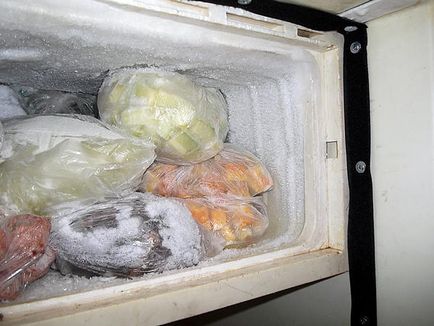 Noile caracteristici crește vechi congelator frigider