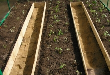 Încălzirea solului într-un pat cald în seră, cu său de seră mâini policarbonat, încălzirea pământului și