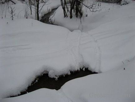 Vânătoarea de capcane nurca