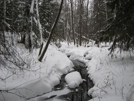 Vânătoarea de capcane nurca