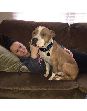 Dog, care a fost luat de la adăpost, nu încetează să îmbrățișeze noul proprietar - femeie e zi