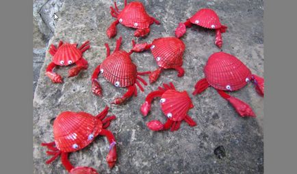 Artizanat din coji de mare, maternitate - sarcină, naștere, nutriție, educație (mare) Artizanat din coji de mare, maternitate - sarcină, naștere, nutriție, educație