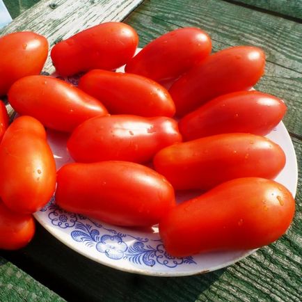 Descrierea Tomate degetele soiului, metodele de conservare ca rola pentru iarnă, foto, video