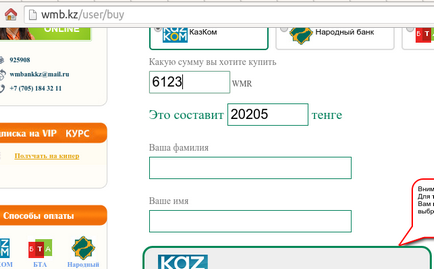 Alimentarea pungă de viză carte WebMoney (viză) pungă viză reaprovizionare carte WebMoney