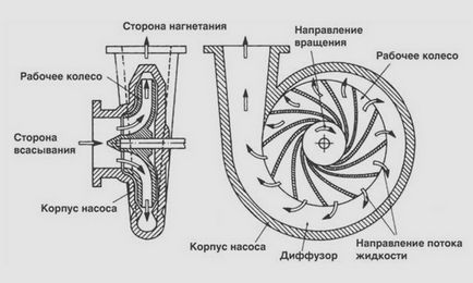 pompe Portal