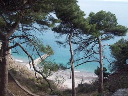 decontare Gaspra (Yalta), pe coasta de sud a Crimeei ca o unitate, plaje