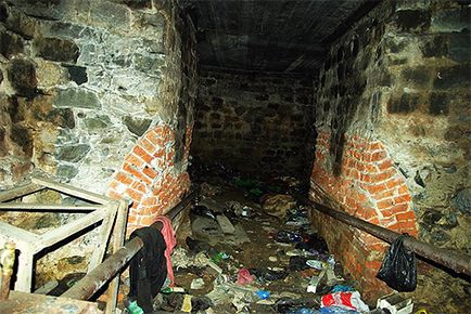 Sărituri insecte în apartament cum să depășească micile lipitori (apartament) Sărituri insecte în apartament cum să depășească micile lipitori